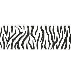 Zebra Seamless Pattern Or Repeatable Border