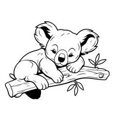 Cute Koala Bear Sitting On A Tree Branch