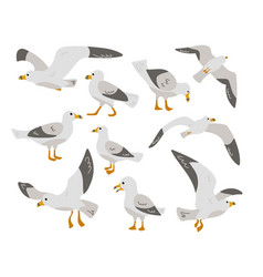 Seagull Cartoon Character Flat