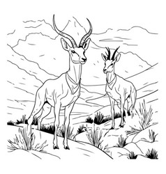 Antelope In The Mountains Black And White For