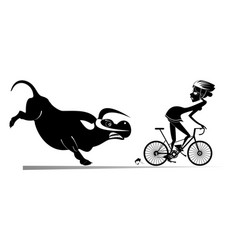 Angry Bull And Cyclist Woman