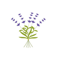 Lavender Plant Flowers Bunch Icon