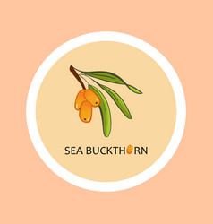 Sticker With Sea-buckthorn