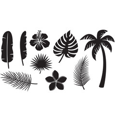 Tropical Plants Icons Collection