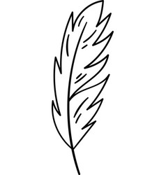 Feather Bird Outline