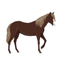 Sorrel Horse In Flat Design