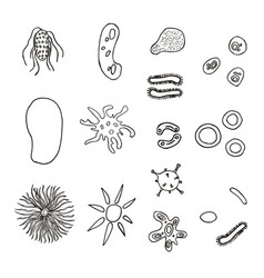 A Set Bacteria And Viruses