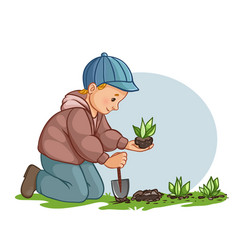 Boy Planting Flowers In Garden