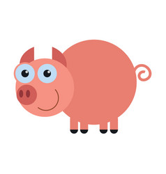 Domestic Pink Pig