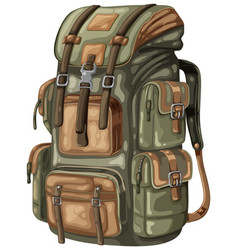 Detailed Of A Camouflaged Outdoor Backpack