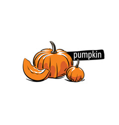 Drawn Pumpkin Isolated On A White Background