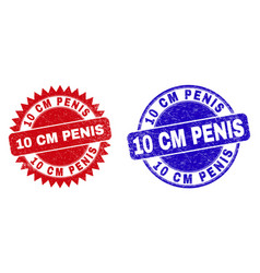 10 Cm Penis Round And Rosette Stamp Seals