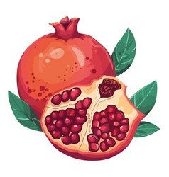 Juicy Pomegranate Slice Symbol Of Healthy Eating