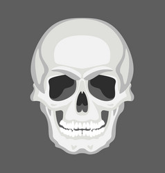 Skull Drawing line work Royalty Free Vector Image