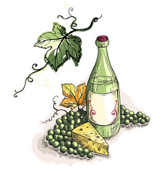 Watercolor Bottle Of Wine Grapes And Cheese