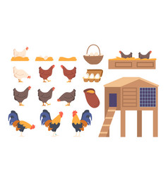 Set Of Icons Chicken Roosters Coop And Eggs