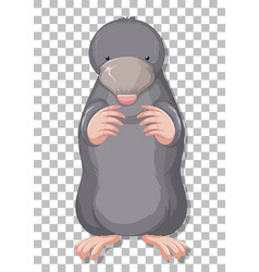 A Mole Cartoon On Grid Background