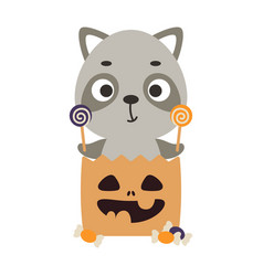 Cute Halloween Raccoon Sitting In A Trick