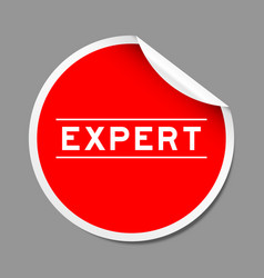 Red Color Peel Sticker Label With Word Expert