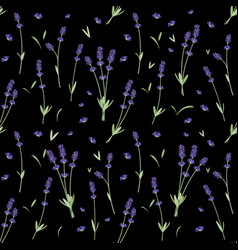 Lavender Flowers