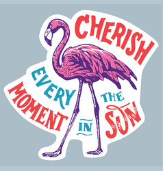 Pink Flamingo Cherish Every Moment In The Sun