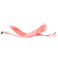 Pink Flamingo Exotic Tropical Bird Character