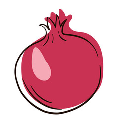 Pomegranate Fruit Line Art Drawing