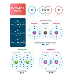 Covalent Bond Labeled Diagram