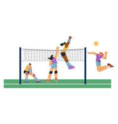 Happy Young Women Playing Volleyball Scene Flat