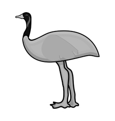 Emu Vector Images (over 1,300)