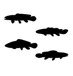 Bowfin Fish Silhouette Art