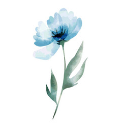 Turquoise Flower Watercolor High Quality