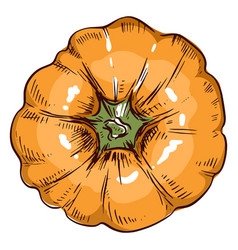 Pumpkin Viewed From Above