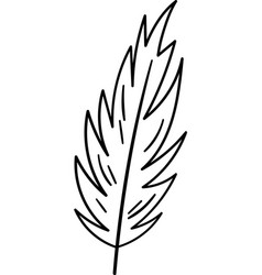 Feather Bird Outline