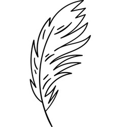 Feather Bird Outline