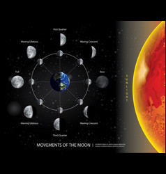 Movements Moon 8 Lunar Phases Realistic