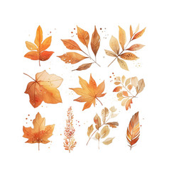 A Collection Of Autumn Leaves And Flowers In