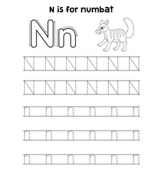 Numbat Animal Tracing Letter Abc Coloring Page N