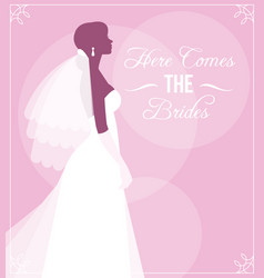 Silhouette Of Bride In Wedding Dress And Veil