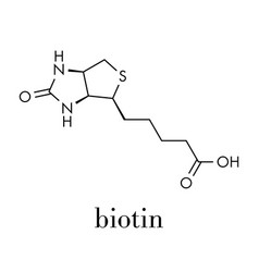 Vitamin B7 Biotin Molecule Skeletal Formula