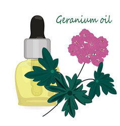 Geranium Essential Oil