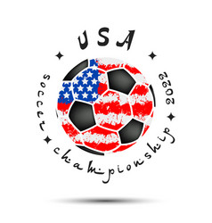 Soccer Ball With Usa National Flag Colors