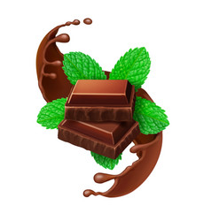 Chocolate Pieces And Mint Leaves Isolated