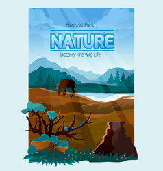 National Park Nature Background Banner