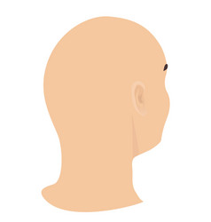 Bald Head Of A Man In Side View