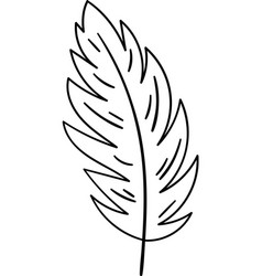 Feather Bird Outline