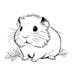 Hamster Black And White