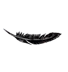 Feather Of Bird Drawn In Ink Pen