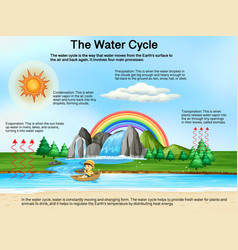 Frog Life Cycle Diagram