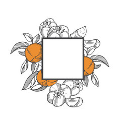 Frame With Sketch Persimmon